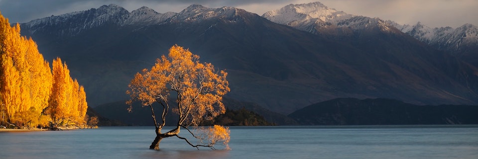 PrimeCode - Our Services